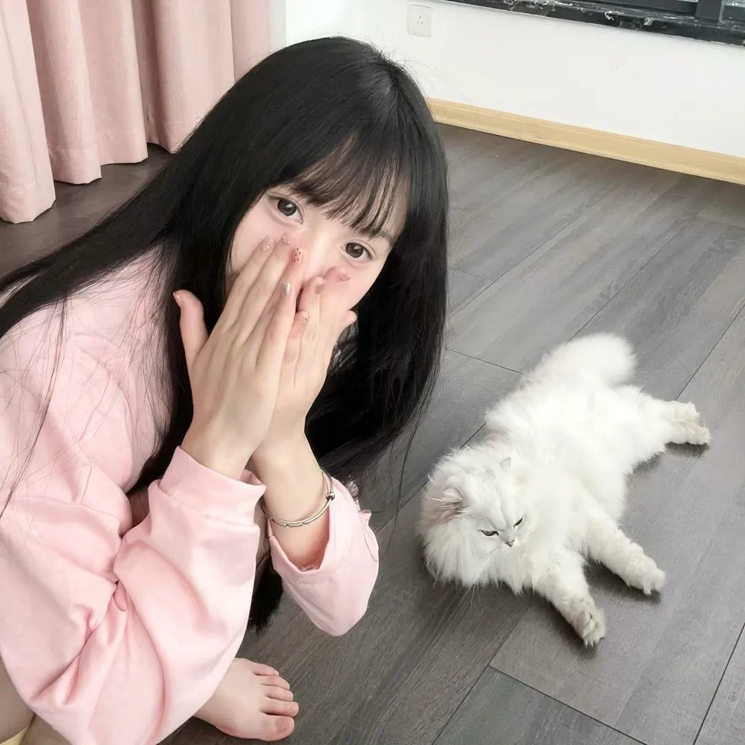 小莫莉大冒险
